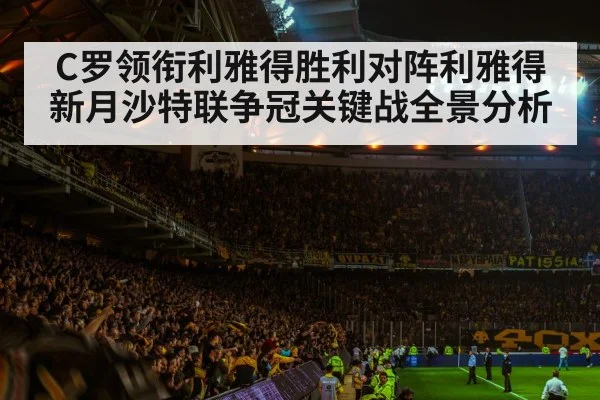 football stadium night crowd