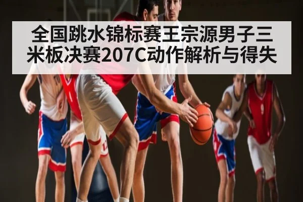 全国跳水锦标赛王宗源男子三米板决赛207C动作解析与得失 | haha sports